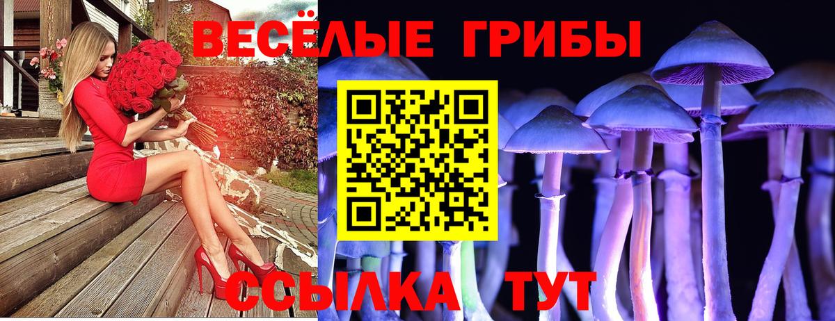 Черняховск  Псилоцибиновые грибы мицелий  Галлюциногенные грибы Cubensis  Вход с VPN 